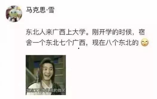 东北土话爆料视频播放网站,笑料横飞视频网站大揭秘! 第2张 东北土话爆料视频播放网站,笑料横飞视频网站大揭秘! 第2张